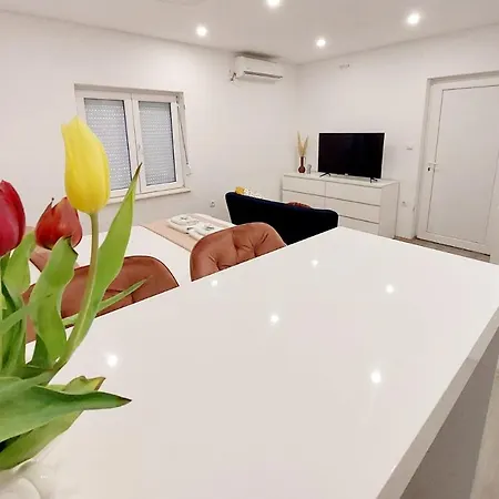Sea Paradise Charly *
