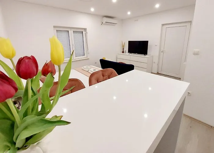 Sea Paradise Charly *